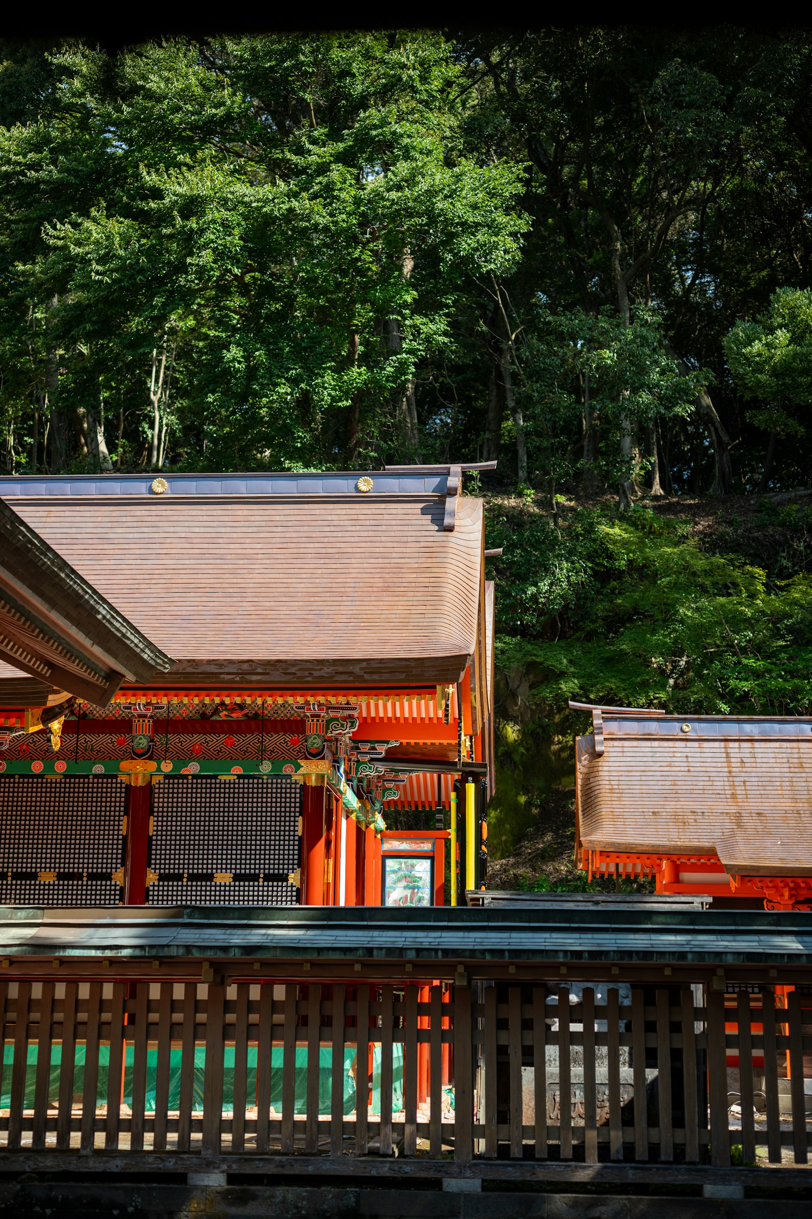 緑に囲まれた神社の社殿